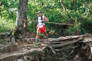 BIB: 
                            <button type="button" onclick="openModal(27553978)" class="btn btn-primary btn-sm float-right btn-popup" data-toggle="modal" data-target=".modal-high-quality">
                        <i class="fas fa-shopping-cart"></i> Add to Cart
                    </button>
                                            <button type="button" onclick="isThisMe(27553978, true)" class="btn btn-success btn-sm float-right btn-popup btn-isme hidden" data-toggle="tooltip" data-placement="bottom" title="นี่คือรูปของคุณใช่ไหม คลิกที่นี่เพื่อเอาเข้าอัลบั้ม">
                        <i class="fas fa-plus"></i> Add to album
                    </button>
                    <button type="button" onclick="isThisMe(27553978, false)" class="btn btn-warning btn-sm float-right btn-popup btn-isnotme hidden">
                        <i class="fas fa-ban"></i> Remove from album
                    </button>